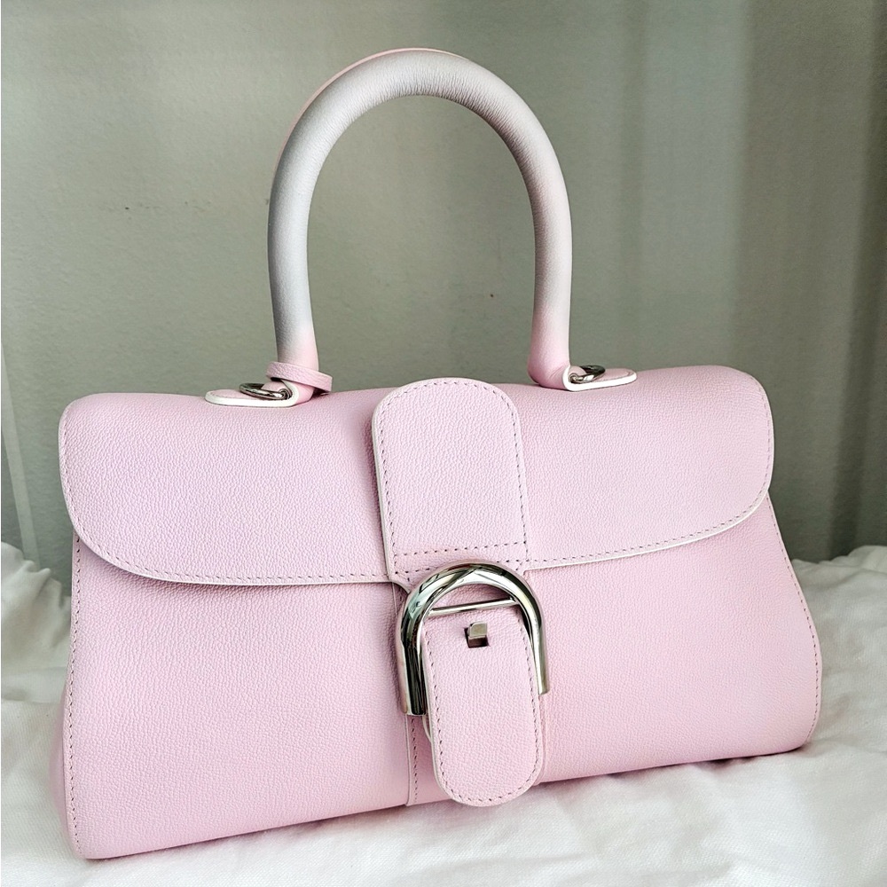 *NEW* Delvaux 🌸 Brillant Sakura East/West Handbag Silver Hardware